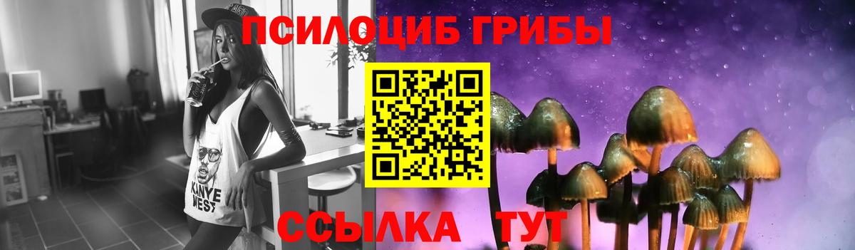 Коркино  Галлюциногенные грибы Psilocybe  Вход с VPN 